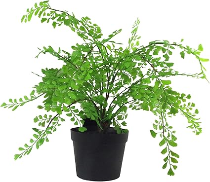 Leaf Artificial Plant with Pot, Maidenhair Fern, 35cm