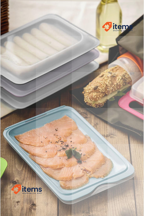 TATAY Cold Meat Containers For Fridge Set Of 4 Standard BPA-Free 17x3.2x25.2cm
