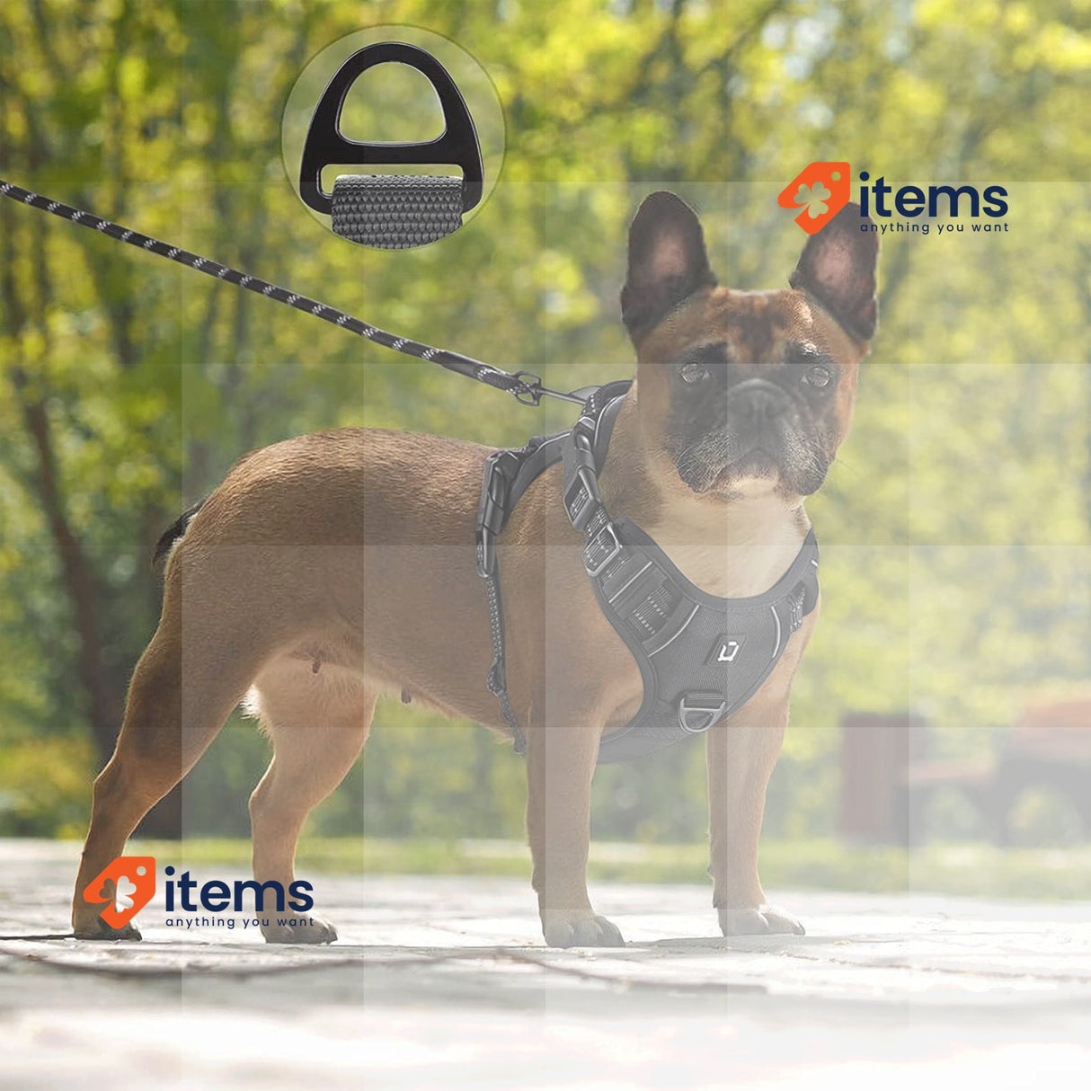 Dog Training Harness Vest Black No Pull Release Neck Reflective Adjustable Choke