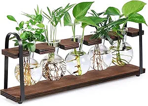 THYGIFTREE Plant Propagation Stations with Wooden Stand