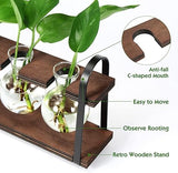 THYGIFTREE Plant Propagation Stations with Wooden Stand