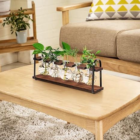 THYGIFTREE Plant Propagation Stations with Wooden Stand