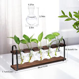 THYGIFTREE Plant Propagation Stations with Wooden Stand