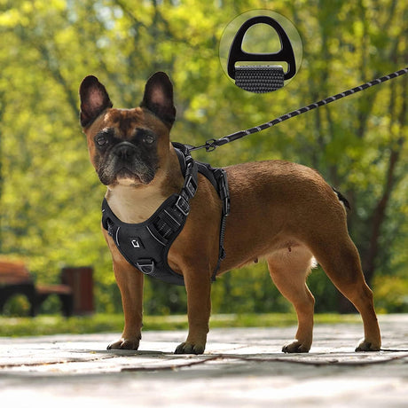 Dog Harness M Black