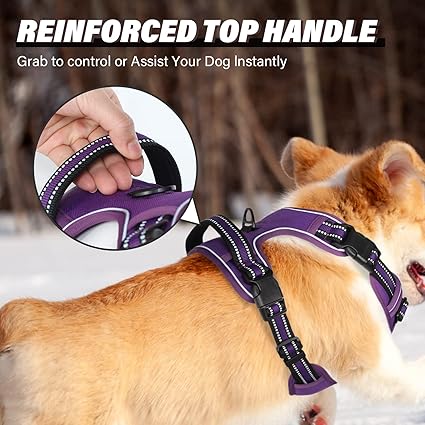 Arnes Dog Harness For Big/Medium/Small Training