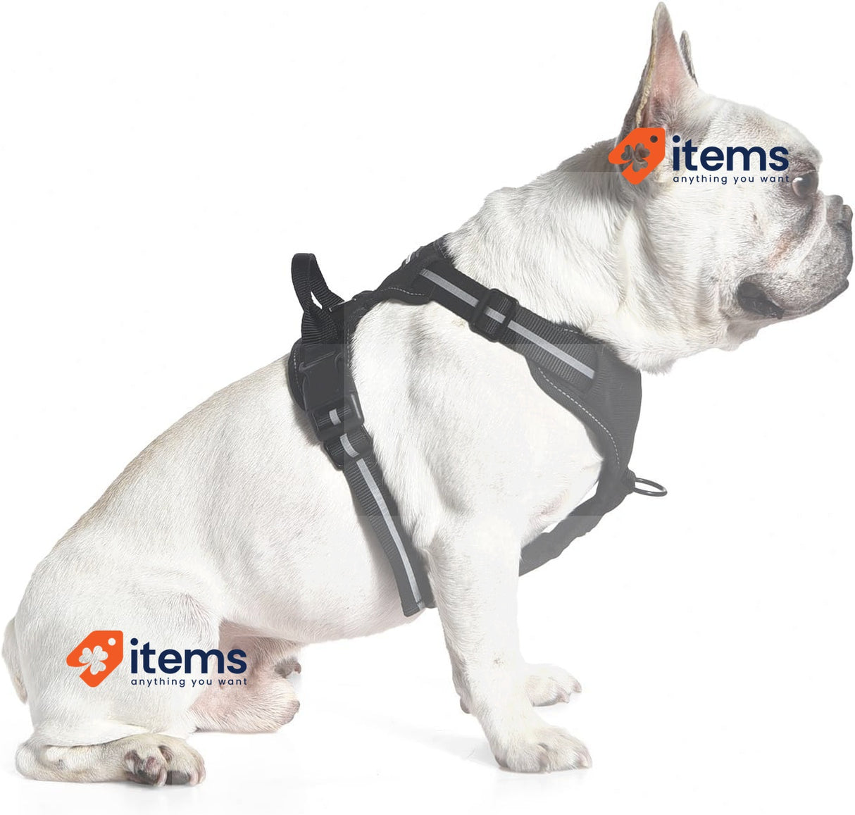 Amazon Basics No - Pull Dog Vest Harness Black Adjustable Soft Padded No-Pull