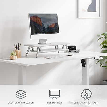 Fenge Support Wood Monitor, 2-layer Monitor Support with Storage Space