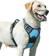 Eagloo Dog Harness Large Dog, No Pull Harness with Front Back Clips Blue L