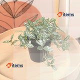 Fopamtri Artificial Plants Indoor 18cm White Mini Potted Fake Small Plastic Faux