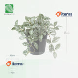 Fopamtri Artificial Plants Indoor 18cm White Mini Potted Fake Small Plastic Faux
