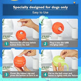 Petiepaw Interactive Dog Ball Toy, Durable Automatic Rolling Ball