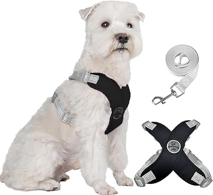 FEimaX No Pull Dog Harness and Lead Set Black Large