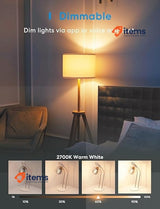 meross LED bulb Vintage Edison, Intelligent bulb Alexa WiFi 2 Pieces White