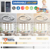 OMGPFR Modern Creative Ceiling Fan with Light and Remote Control Dimmable