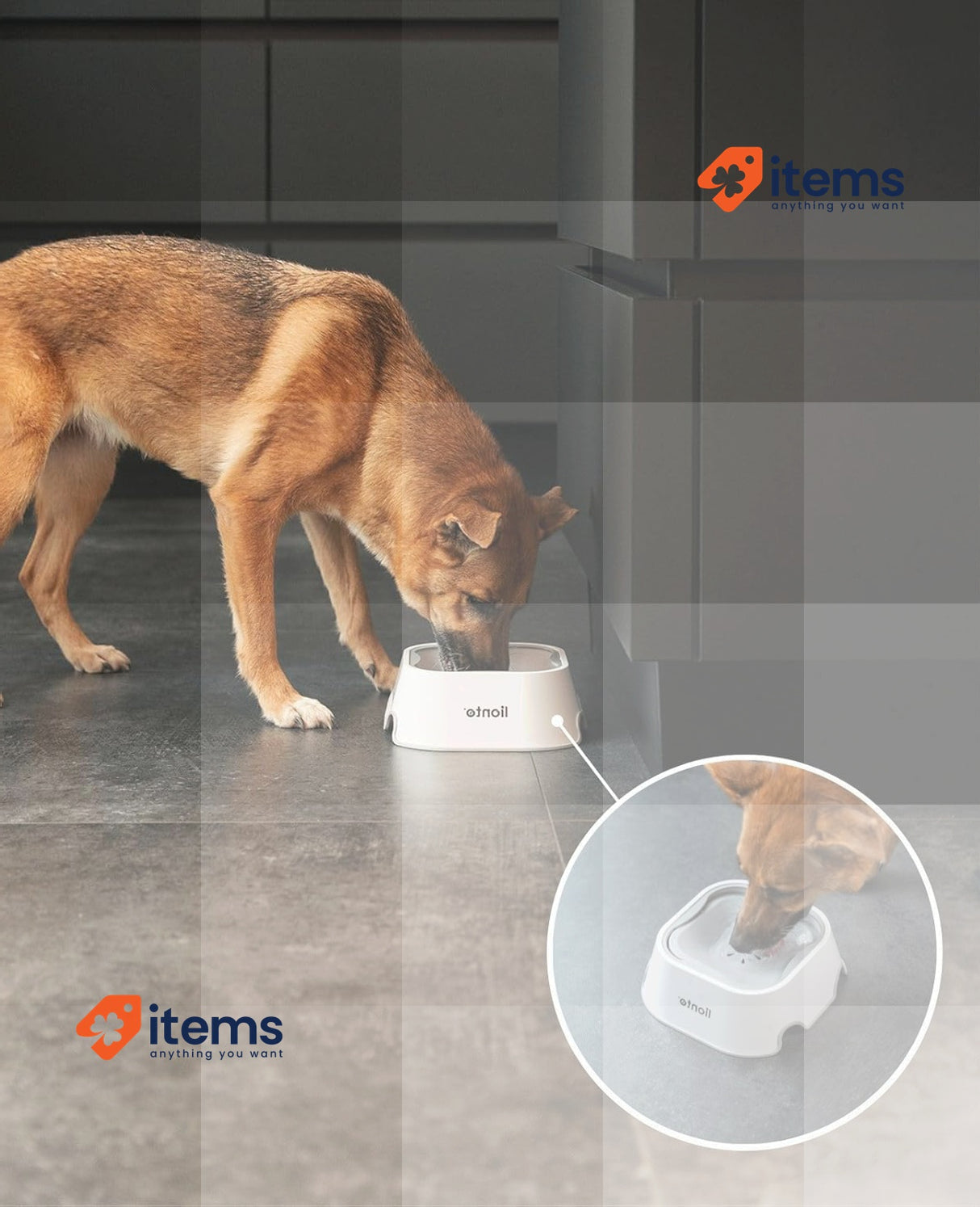 lionto Dog bowl made of food-safe plastic, 1 Liter White