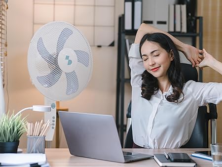 BEPER P206VEN132 Pedestal Fan, 5-Blade Fan, Programmable Timer White