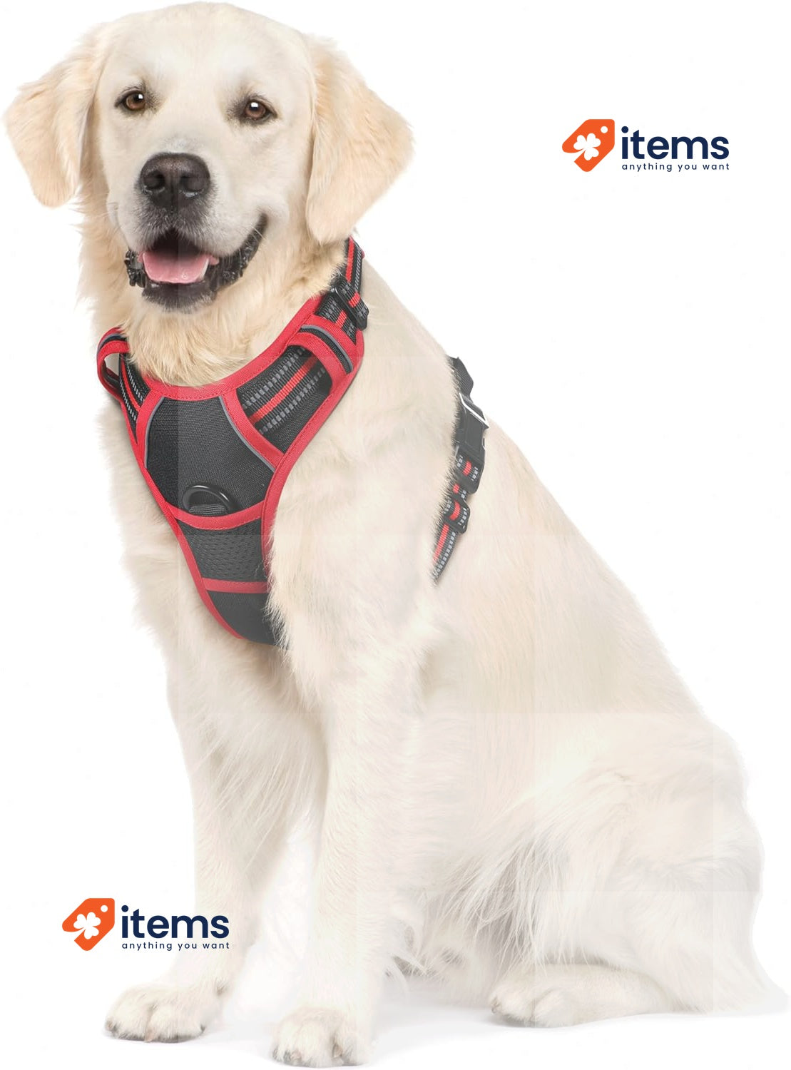 rabbitgoo Dog Harness Large Dog No Pull Pet Harness 2 Leash Clips Adjustable XL