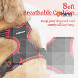 rabbitgoo Dog Harness Large Dog No Pull Pet Harness 2 Leash Clips Adjustable XL