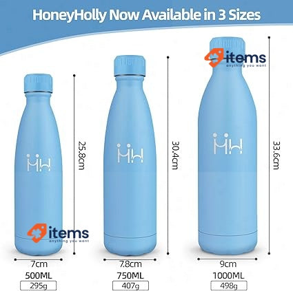 HoneyHolly Stainless Steel Water Bottle, Thermos Flask, 750 ml, BPA-Free, Blue