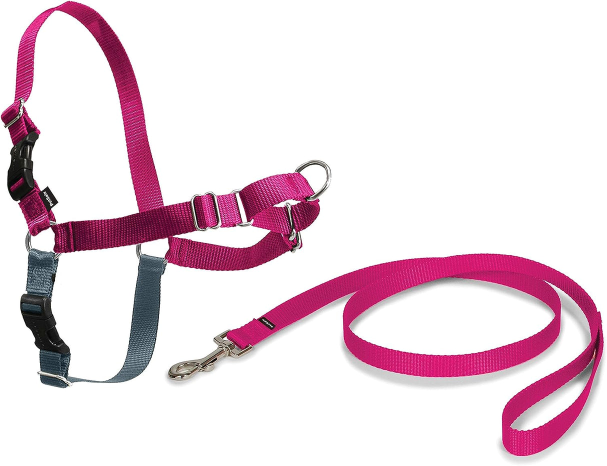 PetSafe Easy Walk Harness