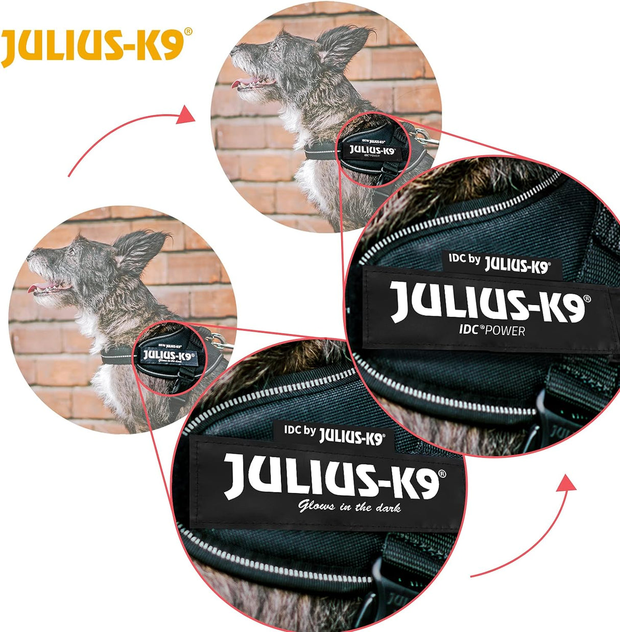 Julius-K9 IDC Powerharness