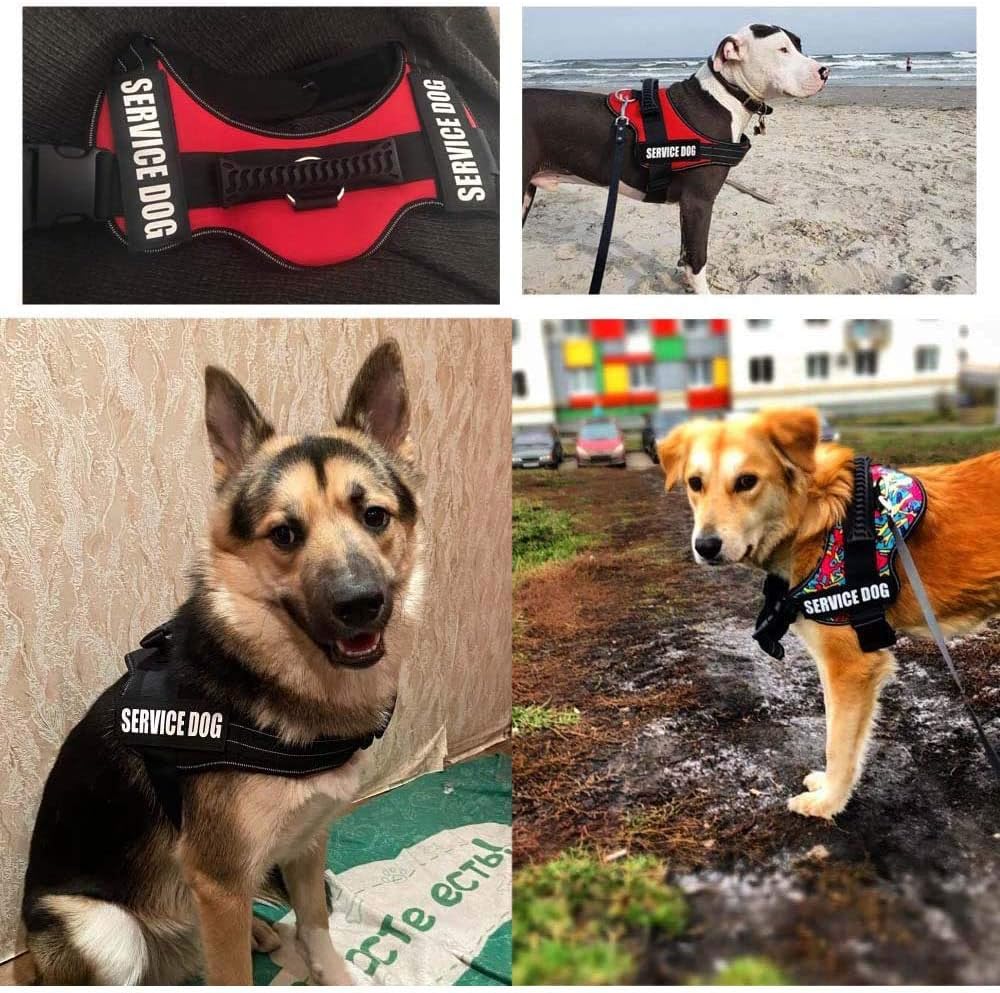 Wodondog Adjustable Dog Harness