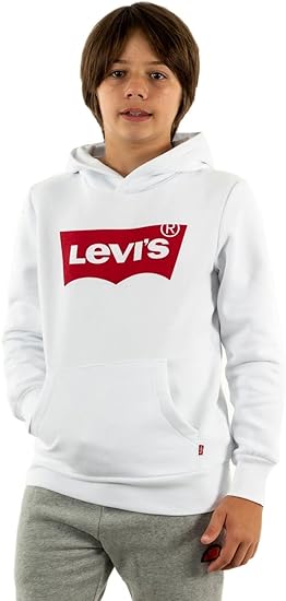 Levi's Kids Screenprint Hoodie