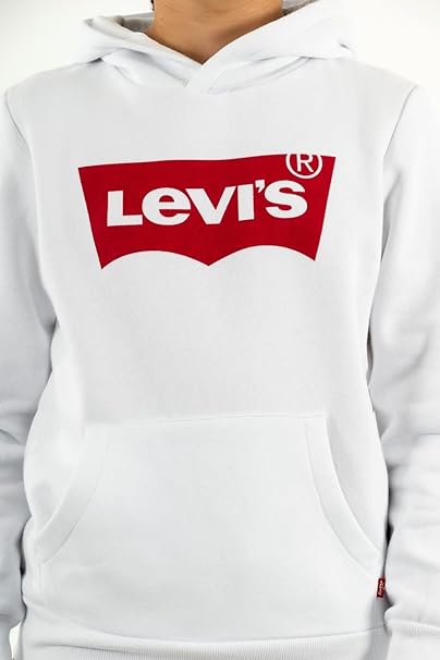 Levi's Kids Screenprint Hoodie