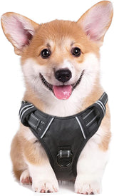 HEELE Dog Harness Dog Black