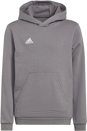 adidas Unisex Kids Entrada 22 Hooded Sweat Team Grey Four 11-12 Years