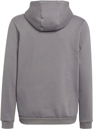 adidas Unisex Kids Entrada 22 Hooded Sweat Team Grey Four 11-12 Years