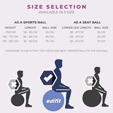 Edifit Yoga Pilates Pregnancy Ball  Fitness Accessories Ball 55 cm Pink