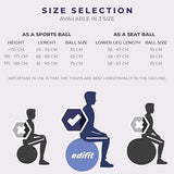 Edifit Yog Pilates Pregnancy Ball Fitness Accessories 65 cm Blue