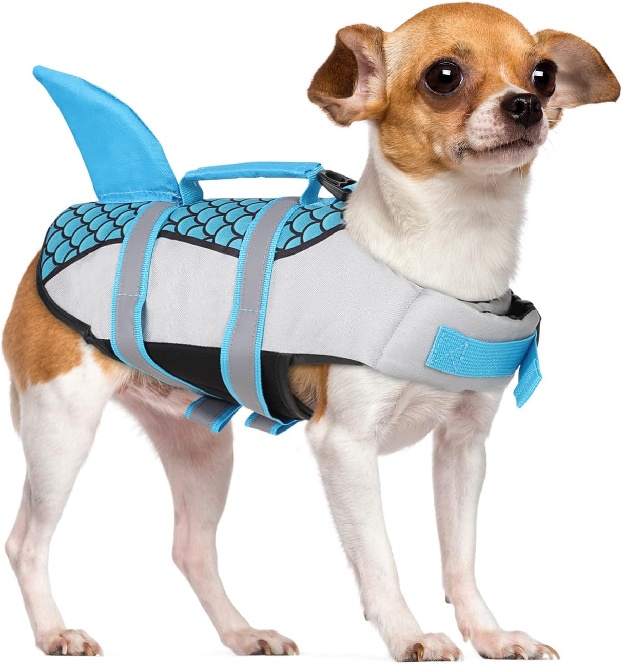 CITÉTOILE Dog Shark Life Jackets S